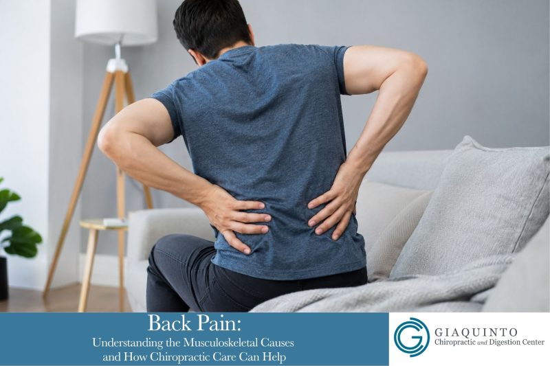 Back Pain Understanding the Musculoskeletal Causes and How Chiropractic Care Can Help